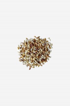 Roasted Seasme Seeds